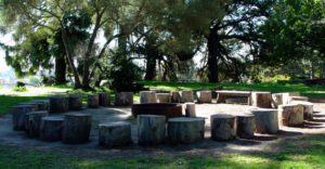 a circle of tree stumps around a bonfire pit