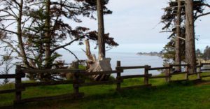 the ocean visible past a fence and large pine trees