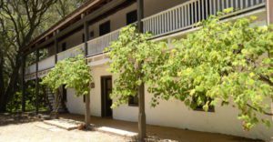 ivy covers the front entryway of the Castro Adobe