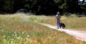 a man walks his dog along a dirt trail at Lighthouse field