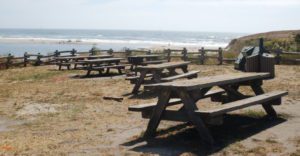 a group of picnic tables in a fenced grassy area at San Gregorio