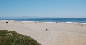 Sunset state beach