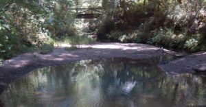 small creek winding towards a footbridge