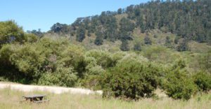 a picnic table in a field with a forested hill in the background