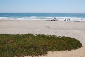 a sunny beach at sunset state beach