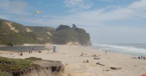 foliage-covered cliffs lead to a sandy beach and the ocean
