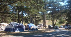 groups of tents among trees at Sunset State Beach campgrounds