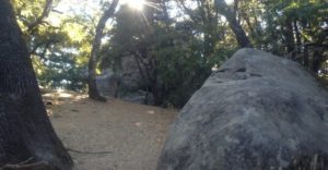 a large boulder next to trees