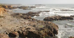 the rock-covered shoreline of Pescadero beach