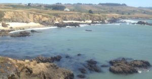 calm, rocky, and murky ocean waters