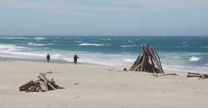 a pile of driftwood on the Rancho Del Oso beach