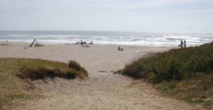 grass gives way to Pomponio beach