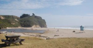 A picnic table on a patch of grass next to a beach