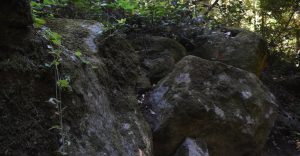 Mossy rocks