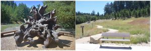 statue of a trees root system and a wooden bench