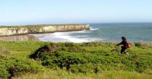 Wilder trail with a biker and the ocean in the background