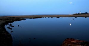 Moon over a pool of water on a beach