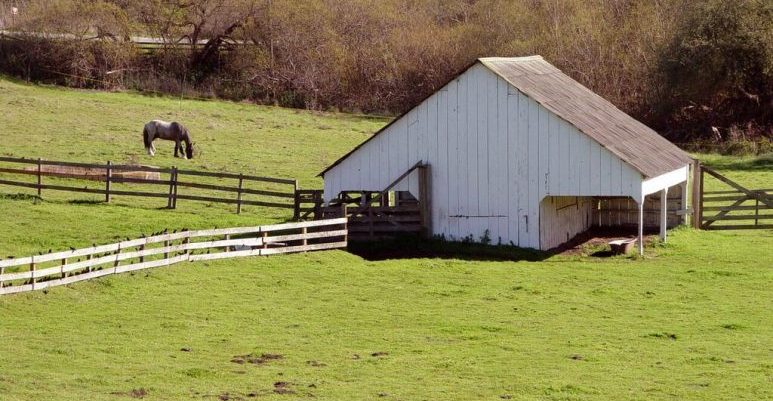 Wilder horse and barn