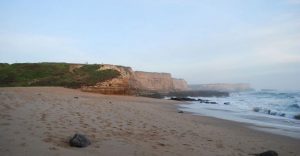 A Shady beach at wilder ranch