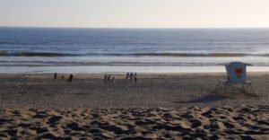 ocean waves along Palm Beach
