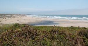 a green bluff with the beach and ocean in the distance
