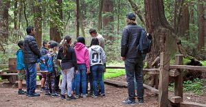 A field trip group gathers under redwood trees with a state parks tourguide