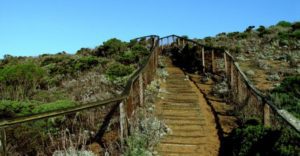 a wooden staircase leads up a bluff