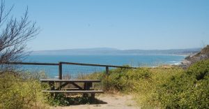 picnic table and fence at Manresa Uplands