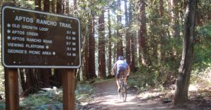 A biker on Aptos Rancho Trail in the forest of Nisene Marks