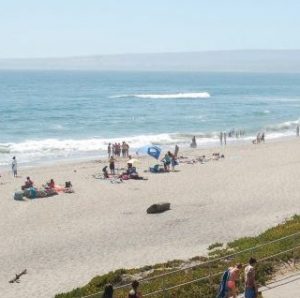 people walk up the path from Manresa State beach
