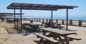 picnic tables and shade at Seacliff