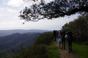 Hikers along a path at Castle rock