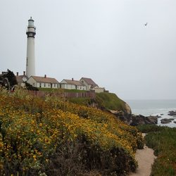 Pigeon Point Lighthouse tower and buildings.