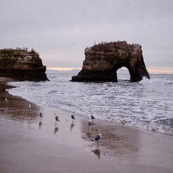 The archway and ocean at natural bridges state beach