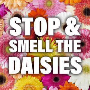 Stop and smell the daisies