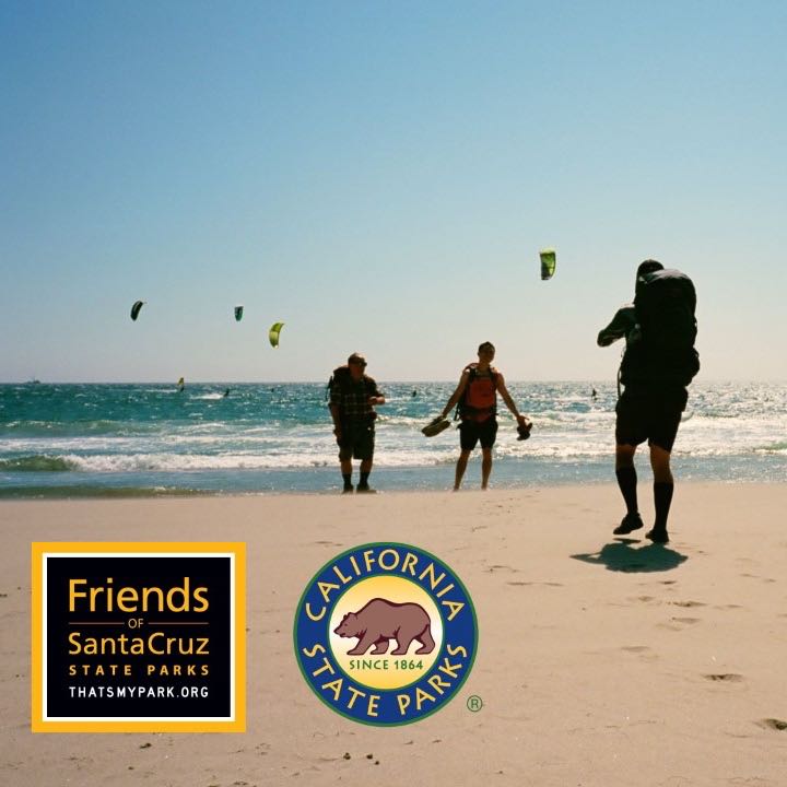 parks visitors stand in front of the ocean, kite surfers in the background