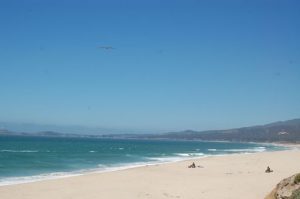 clear blue skies over a calm ocean