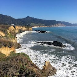 foamy ocean waves roll along the edge of a cliff