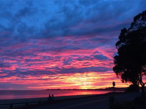 bright pink sunset over the ocean