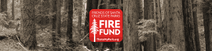 Forest with the fire fund logo