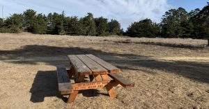 Tribute Table in front of a dark green forest