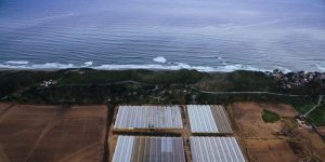 Aerial view of the ocean against farmland