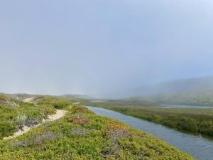 A foggy estuary with a foot bridge in the background