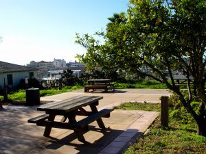 Picnic tables on paved concrete squares