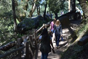 Hikers walk along a wooden-fenced path