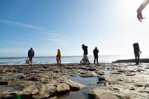 Beach visitors look at small tidepools