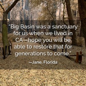 Big Basin was a sanctuary for us when we lived in CA, hope you will be able to restore that for generations to come. - Jane, Florida