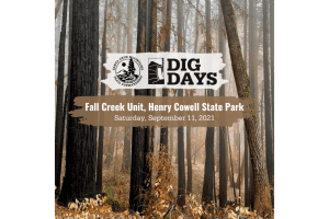 Dig Days: Fall Creek Unit, Henry Cowell State Park, Saturday September 11, 2021