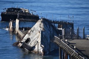 close up of the seacliff cement ship, poking out the ocean and covered in seabirds