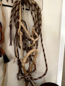 twine horse bridle and lasso hanging at rest